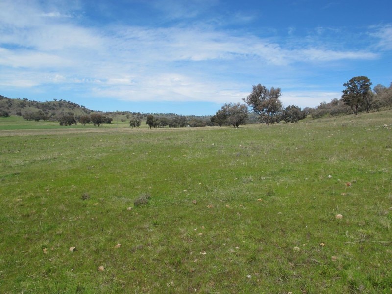Lot 1 Glenlea Hughes Lane, Mudgee NSW 2850