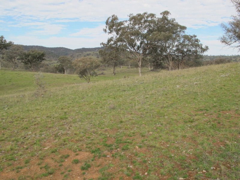 Lot 1 Glenlea Hughes Lane, Mudgee NSW 2850