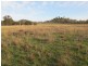 124 Hughes Lane, Mudgee NSW 2850
