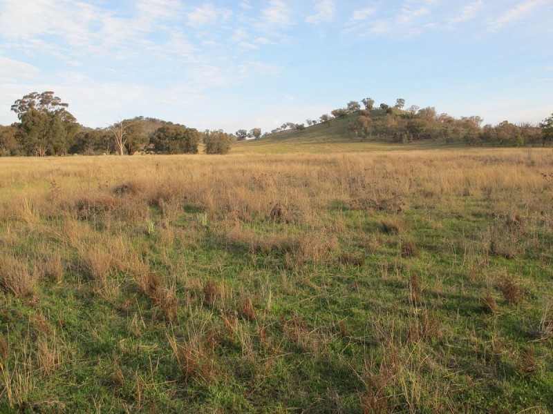 124 Hughes Lane, Mudgee NSW 2850