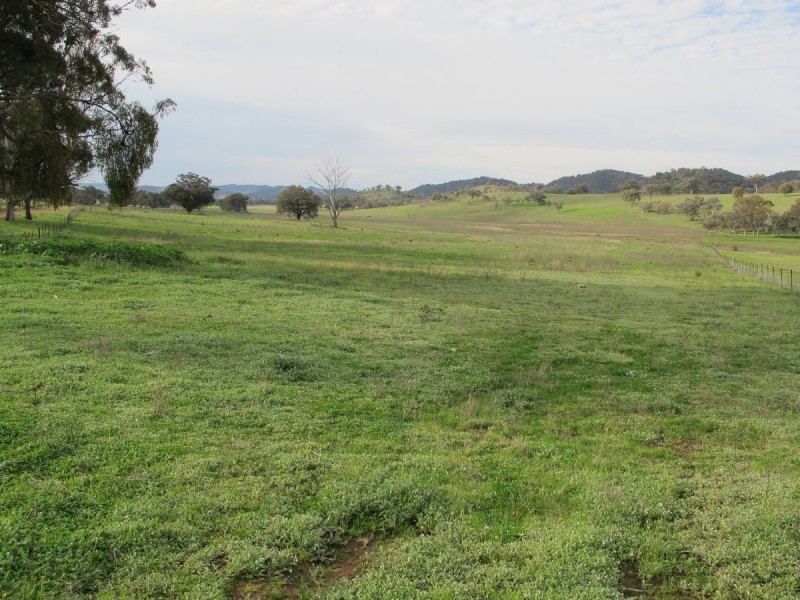 124 Hughes Lane, Mudgee NSW 2850