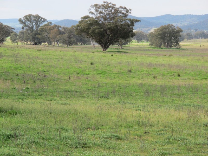 124 Hughes Lane, Mudgee NSW 2850