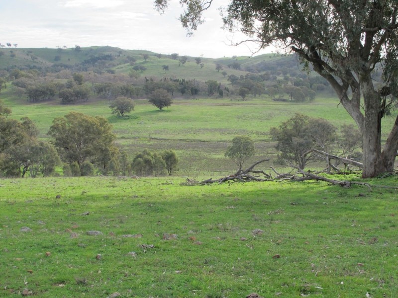 124 Hughes Lane, Mudgee NSW 2850