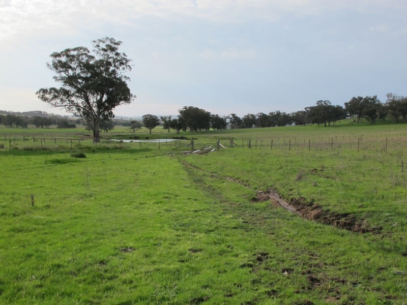 124 Hughes Lane, Mudgee NSW 2850
