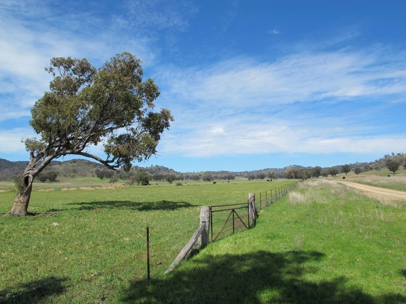124 Hughes Lane, Mudgee NSW 2850