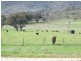 124 Hughes Lane, Mudgee NSW 2850