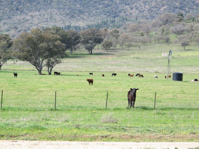 124 Hughes Lane, Mudgee NSW 2850