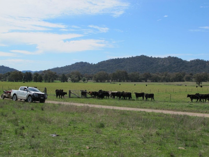 124 Hughes Lane, Mudgee NSW 2850