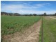124 Hughes Lane, Mudgee NSW 2850