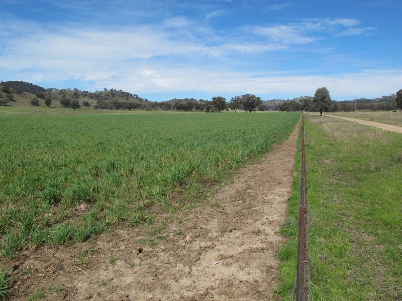 124 Hughes Lane, Mudgee NSW 2850