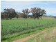 124 Hughes Lane, Mudgee NSW 2850
