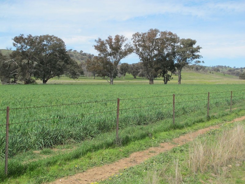 124 Hughes Lane, Mudgee NSW 2850