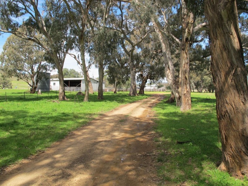 124 Hughes Lane, Mudgee NSW 2850