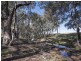 Lot 168 Spring Creek Road, Gulgong NSW 2852