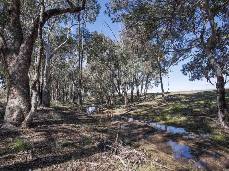 Lot 168 Spring Creek Road, Gulgong NSW 2852