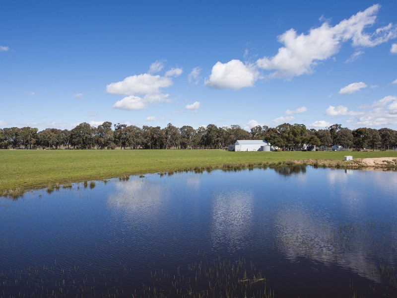 Lot 168 Spring Creek Road, Gulgong NSW 2852