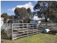 Lot 168 Spring Creek Road, Gulgong NSW 2852