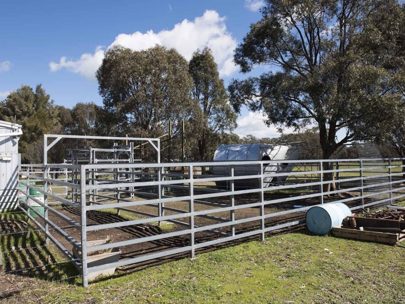 Lot 168 Spring Creek Road, Gulgong NSW 2852