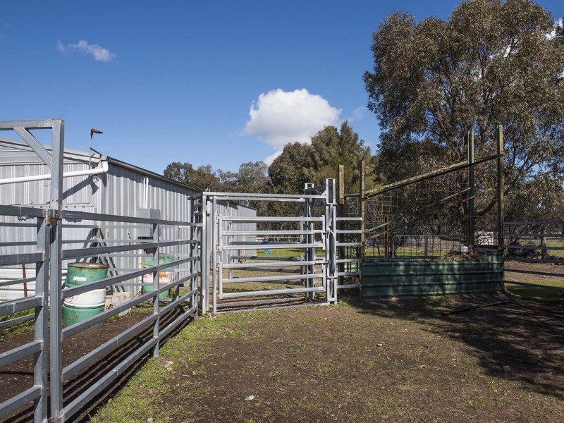 Lot 168 Spring Creek Road, Gulgong NSW 2852