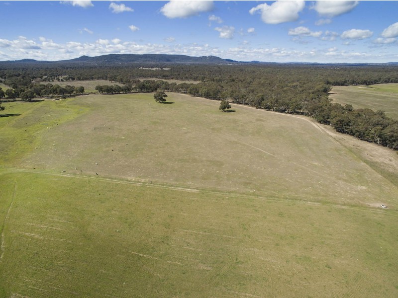 Lot 168 Spring Creek Road, Gulgong NSW 2852