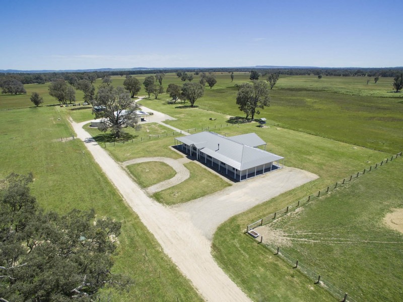 593 Spring Creek Road, Gulgong NSW 2852