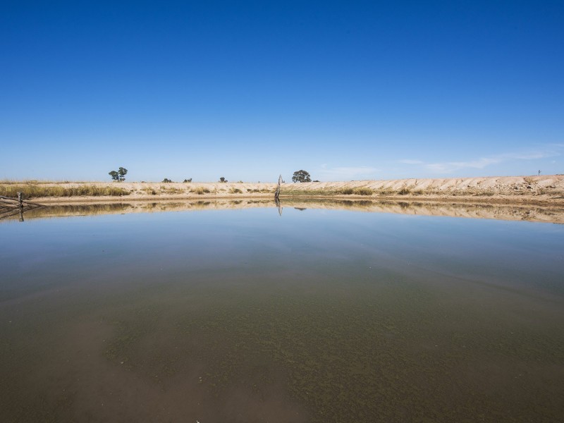 593 Spring Creek Road, Gulgong NSW 2852