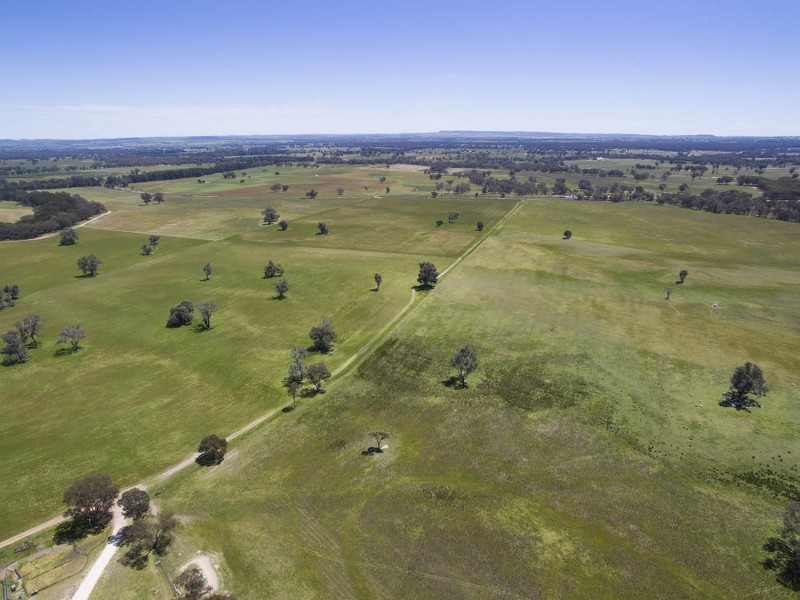 593 Spring Creek Road, Gulgong NSW 2852