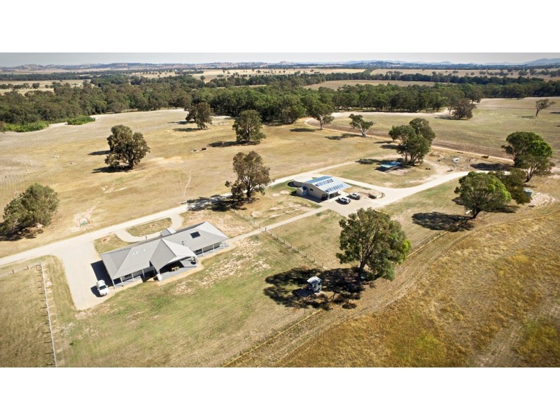 593 Spring Creek Road, Gulgong NSW 2852