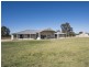 593 Spring Creek Road, Gulgong NSW 2852
