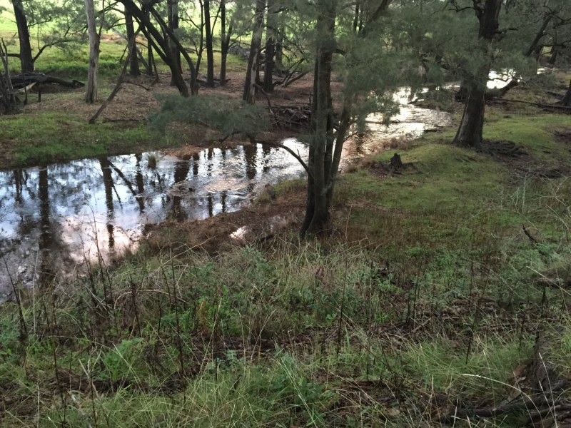 593 Spring Creek Road, Gulgong NSW 2852