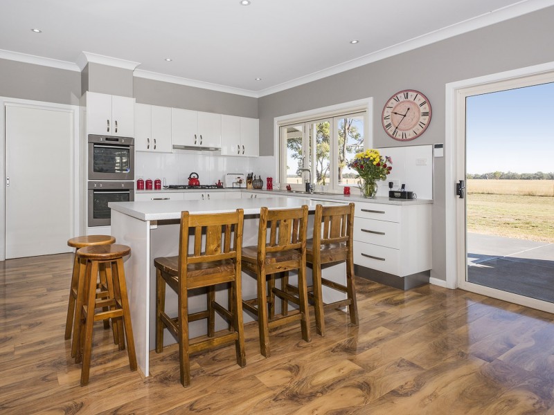 593 Spring Creek Road, Gulgong NSW 2852