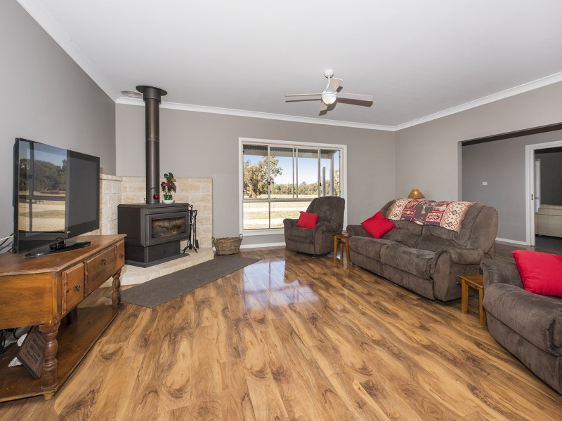 593 Spring Creek Road, Gulgong NSW 2852