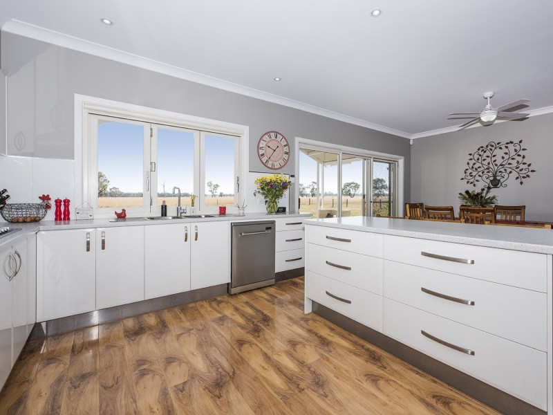 593 Spring Creek Road, Gulgong NSW 2852