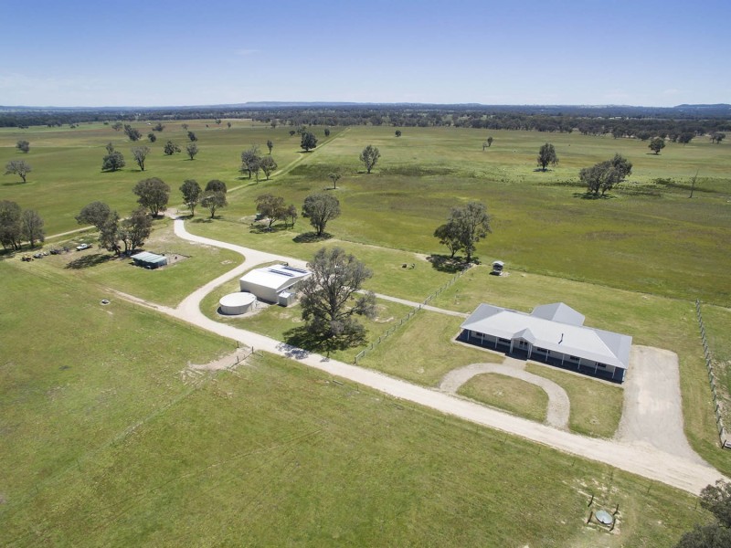 593 Spring Creek Road, Gulgong NSW 2852
