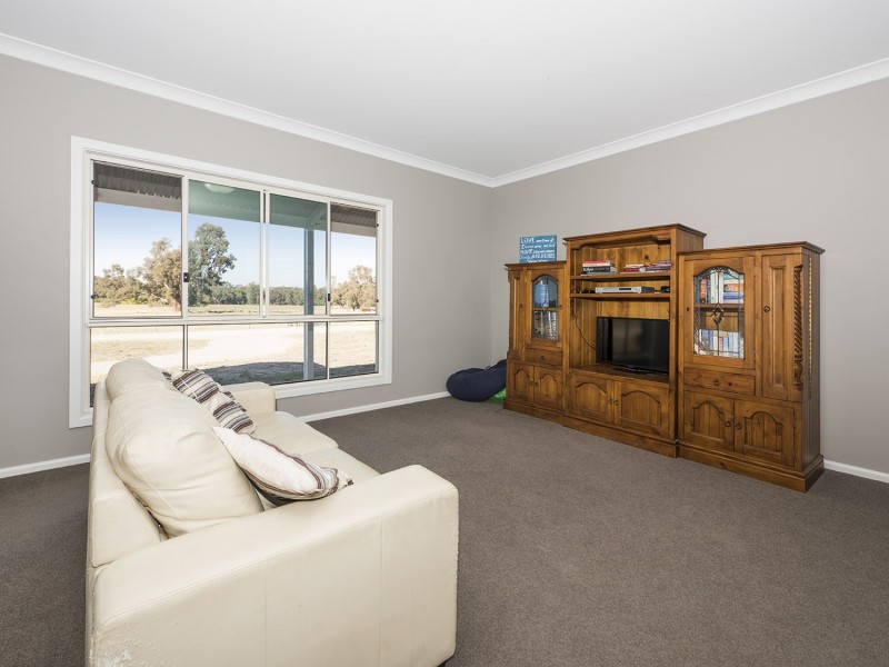 593 Spring Creek Road, Gulgong NSW 2852