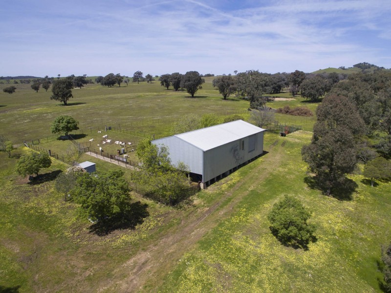 Crowie Station Lower Piambong Road, Mudgee NSW 2850