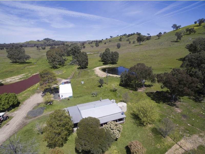 1991 Lower Piambong Road, Mudgee NSW 2850