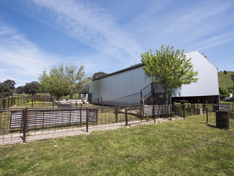 1991 Lower Piambong Road, Mudgee NSW 2850
