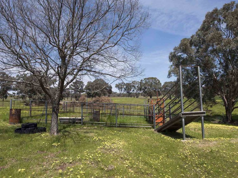 1991 Lower Piambong Road, Mudgee NSW 2850
