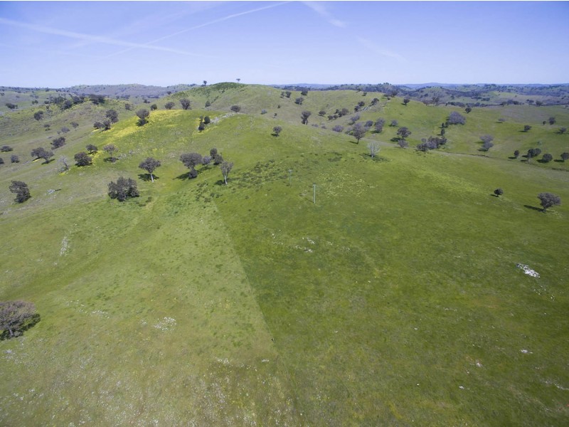 1991 Lower Piambong Road, Mudgee NSW 2850