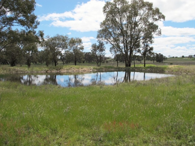 48 Turners Lane, Mudgee NSW 2850