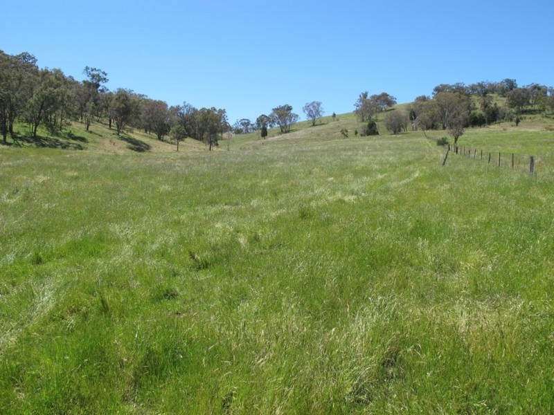 748 Castlereagh Highway, Mudgee NSW 2850