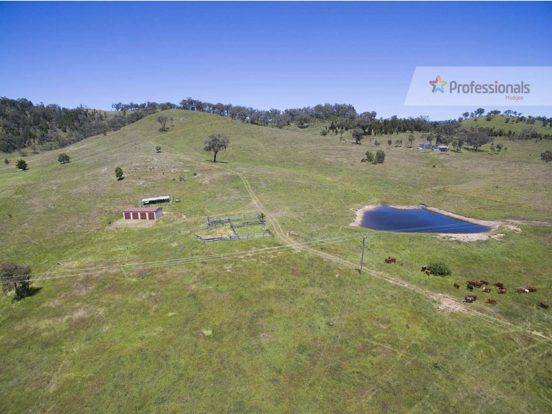 748 Castlereagh Highway, Mudgee NSW 2850