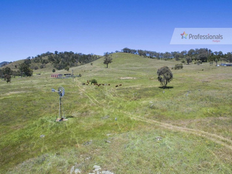 748 Castlereagh Highway, Mudgee NSW 2850