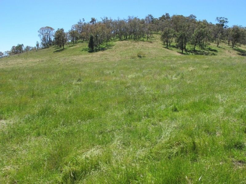 748 Castlereagh Highway, Mudgee NSW 2850