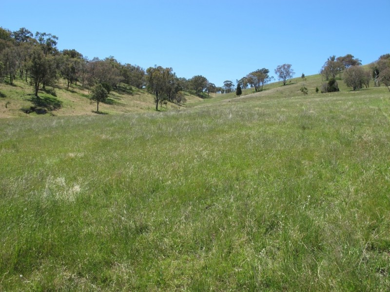 748 Castlereagh Highway, Mudgee NSW 2850