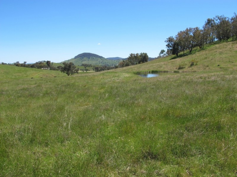 748 Castlereagh Highway, Mudgee NSW 2850