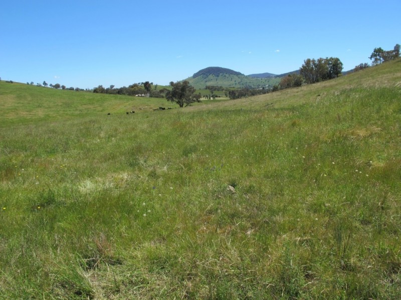 748 Castlereagh Highway, Mudgee NSW 2850