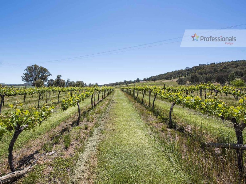 548 Henry Lawson Drive, Mudgee NSW 2850