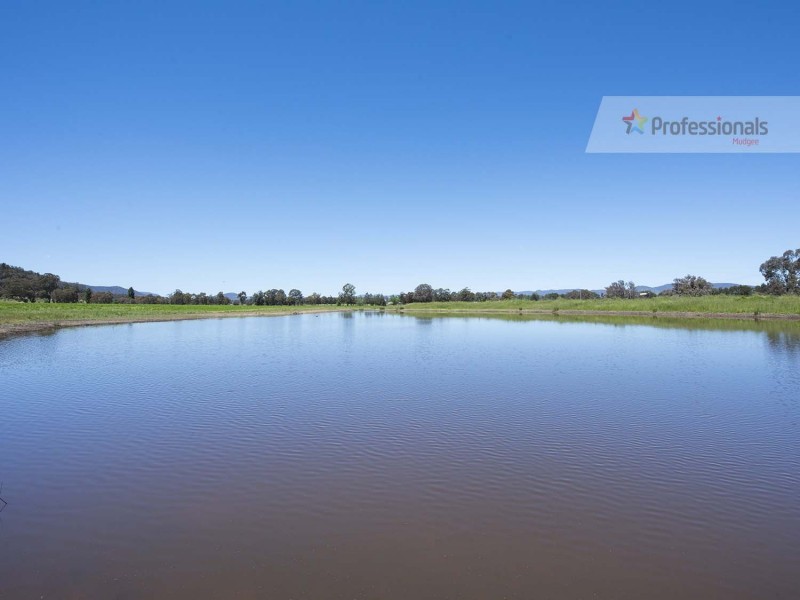 548 Henry Lawson Drive, Mudgee NSW 2850